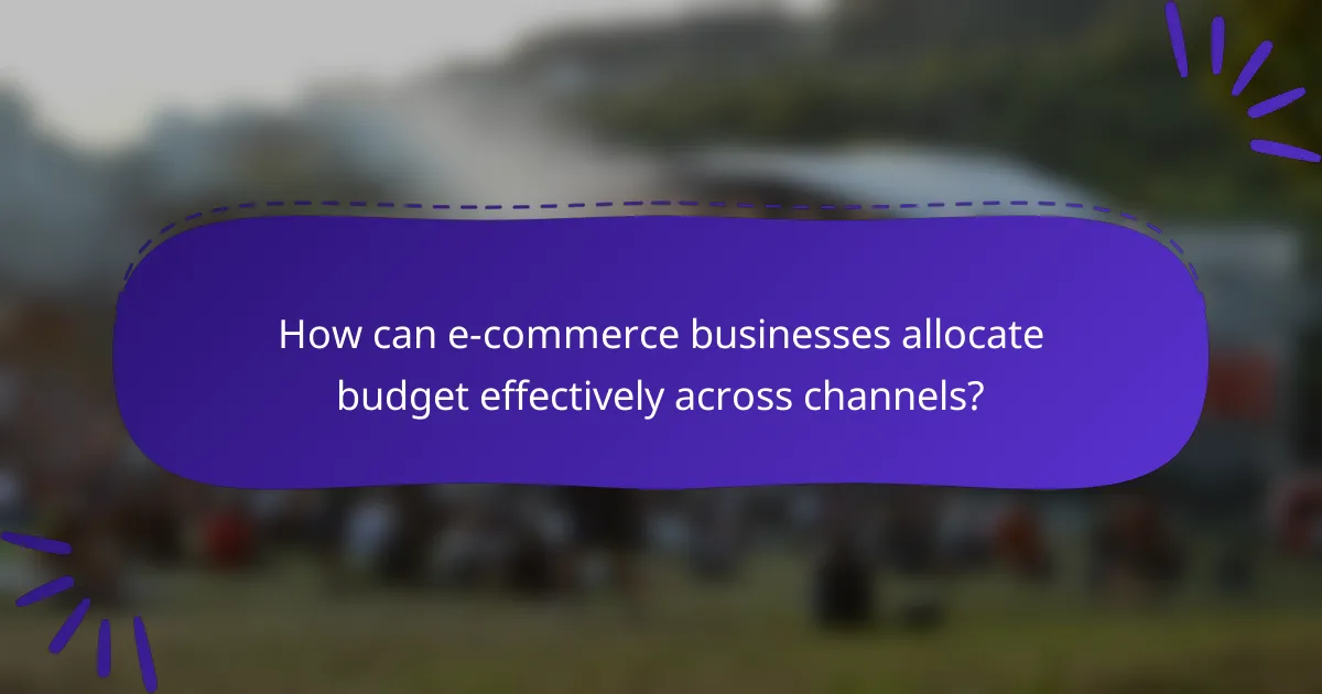 How can e-commerce businesses allocate budget effectively across channels?