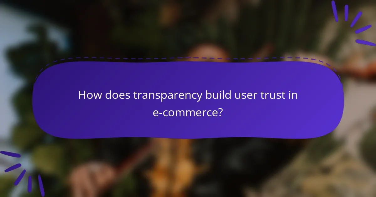 How does transparency build user trust in e-commerce?