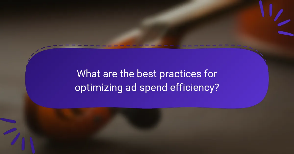 What are the best practices for optimizing ad spend efficiency?